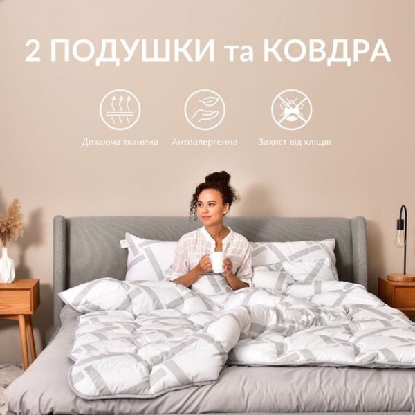 Фото - Набор одеяло евро + 2 подушки IDEIA 50х70 см + 200х220 см Elegantly 2 шт. (8-35565)